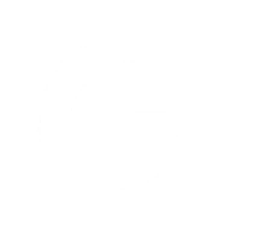 Veteran Owned Small Business